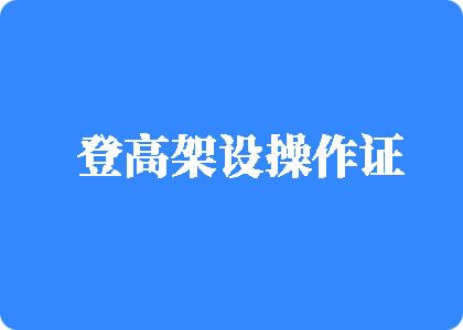 探花操逼视频在线登高架设操作证